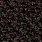 Dried flower petal texture, dark purple and burgundy with green foliage, dense organic pattern, textile swatch sample with handwritten label.